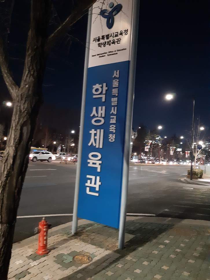 서울 sk 농구 경기 직관기