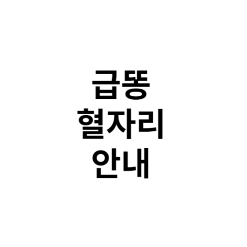 급똥 혈자리 안내