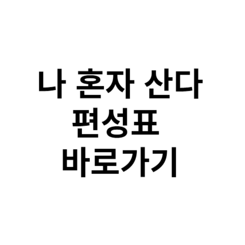 나 혼자 산다 편성표