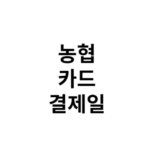 농협 카드 결제일