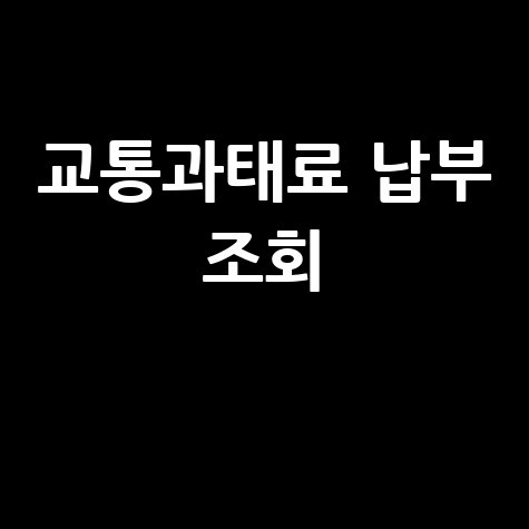 교통과태료 납부 조회