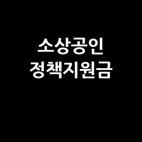 소상공인 정책지원금