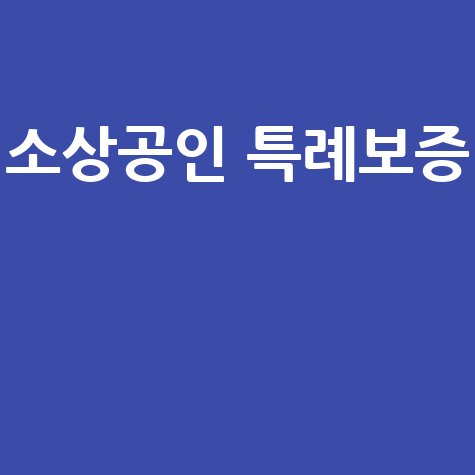 소상공인 특례보증