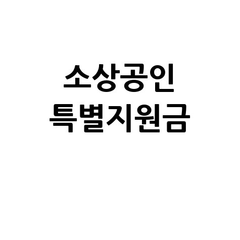 소상공인 특별지원금