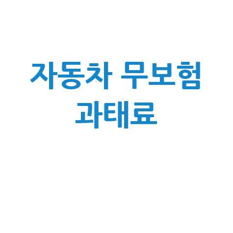 자동차 무보험 과태료