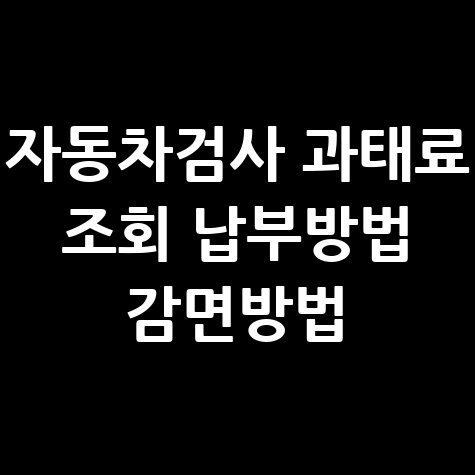 자동차검사 과태료 조회 납부방법 감면방법