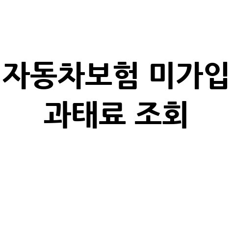자동차보험 미가입 과태료 조회