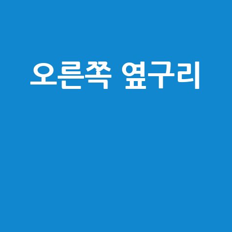 오른쪽 옆구리