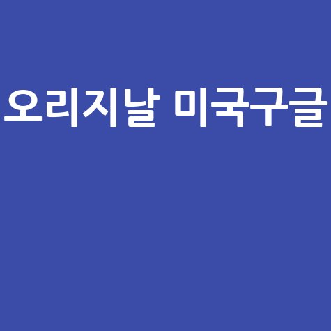 오리지날 미국구글