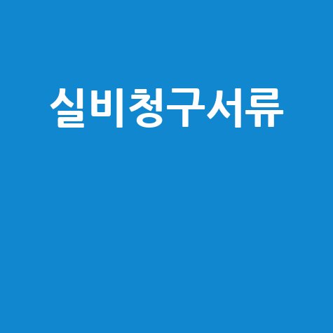 실비청구서류