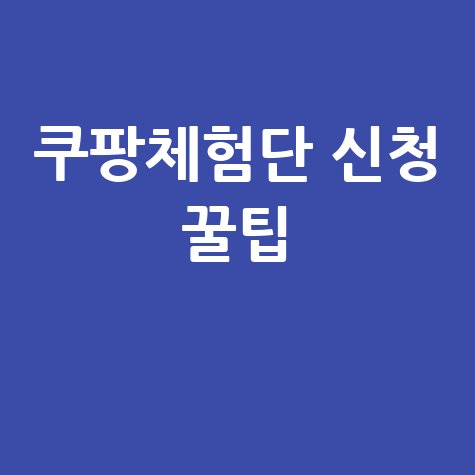 쿠팡체험단 신청 꿀팁