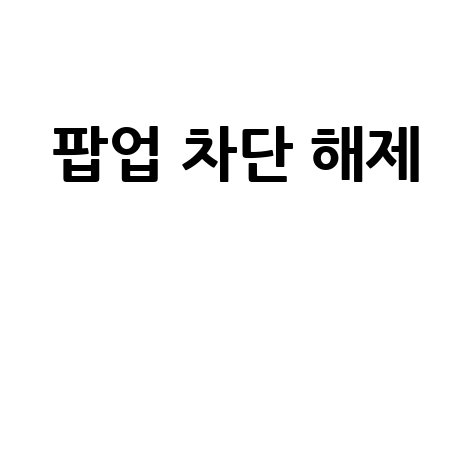 팝업 차단 해제