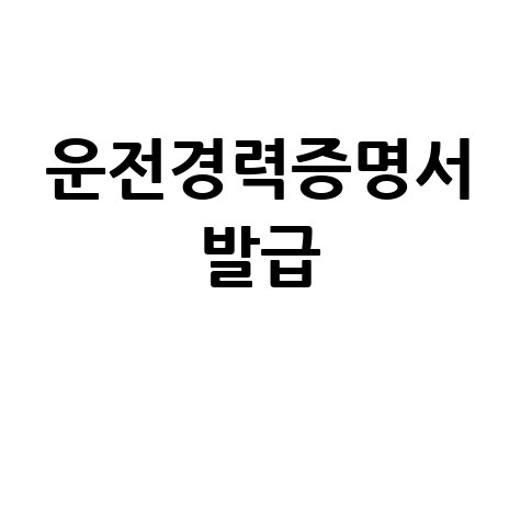 운전경력증명서 발급