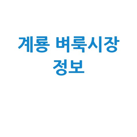 계룡 벼룩시장 정보