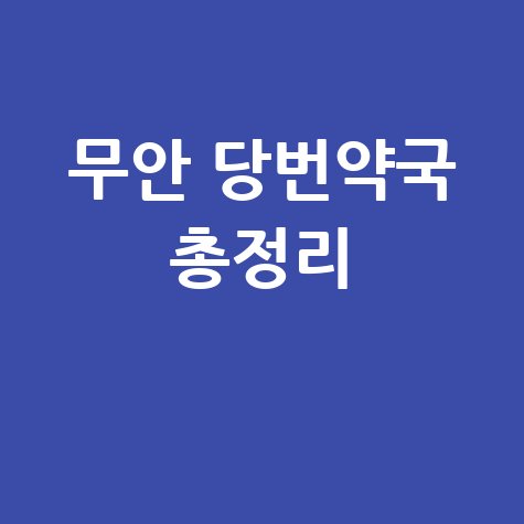 무안 당번약국 총정리