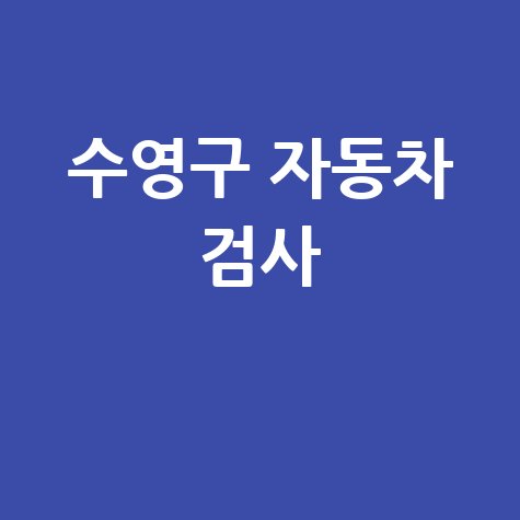 수영구 자동차 검사