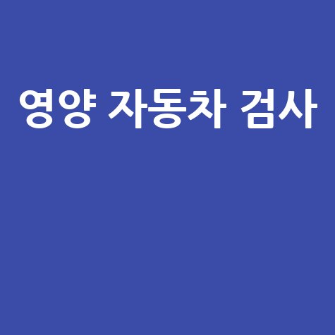 영양 자동차 검사