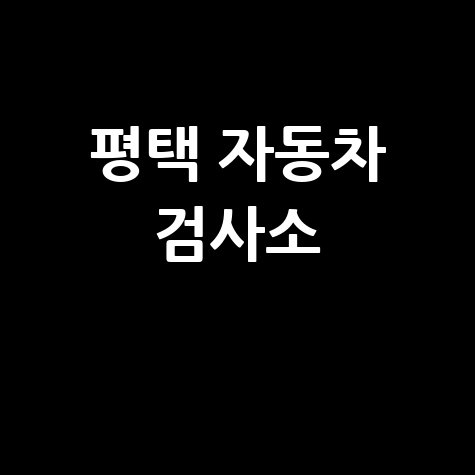 평택 자동차 검사소