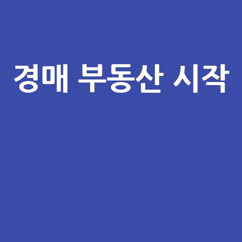 경매 부동산 시작