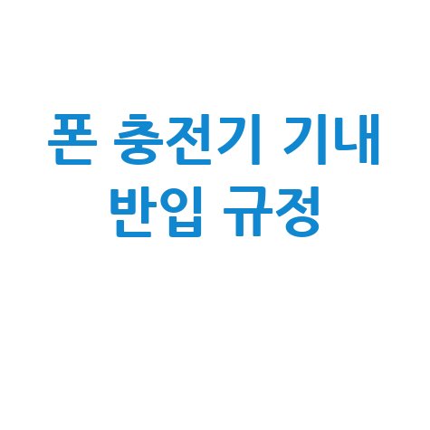 폰 충전기 기내 반입 규정