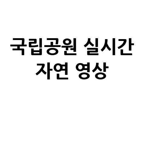국립공원 실시간 자연 영상