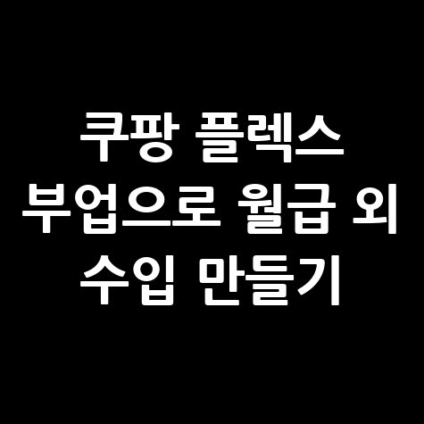 쿠팡 플렉스 부업으로 월급 외 수입 만들기