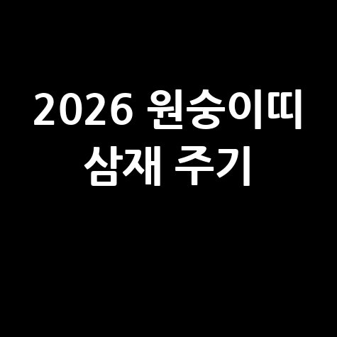 2026 원숭이띠 삼재 주기