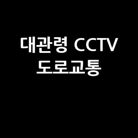 대관령 CCTV 도로교통