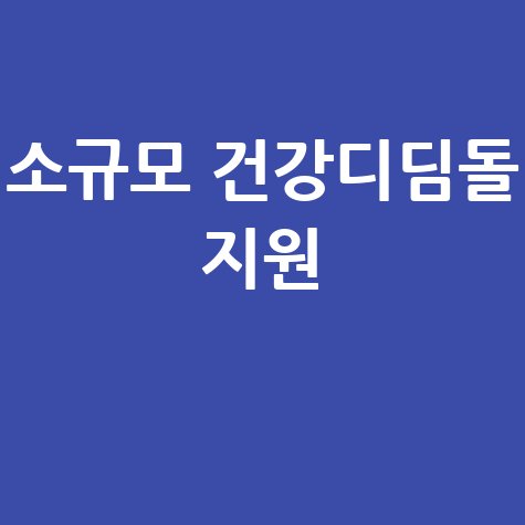 소규모 건강디딤돌 지원