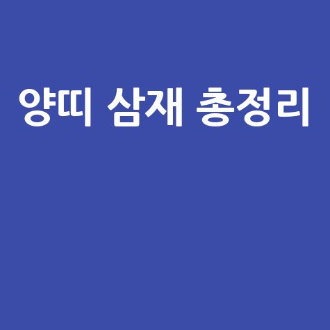 양띠 삼재 총정리