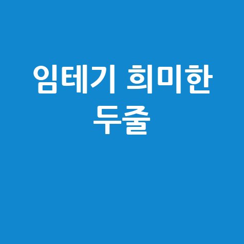 임테기 희미한 두줄