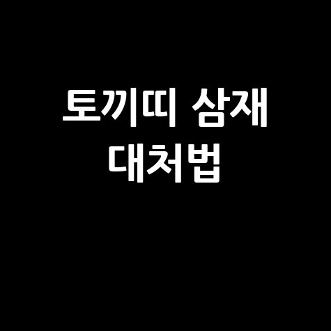 토끼띠 삼재 대처법