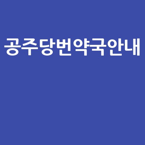 공주당번약국안내