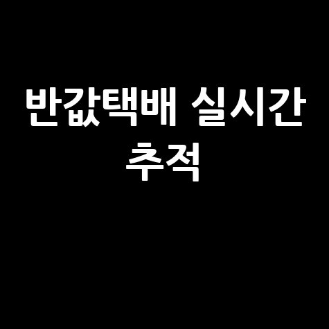 반값택배 실시간 추적