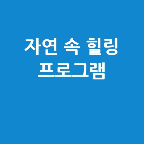 자연 속 힐링 프로그램