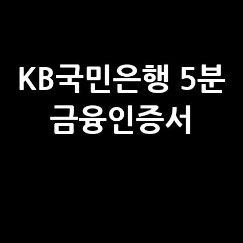 KB국민은행 5분 금융인증서