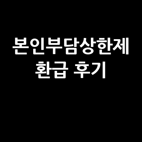 본인부담상한제 환급 후기