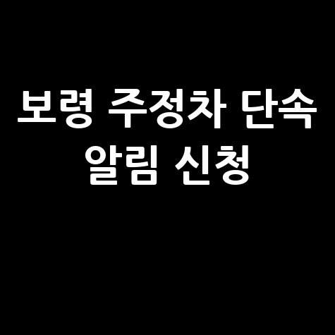보령 주정차 단속 알림 신청