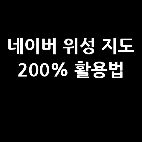 네이버 위성 지도 200 활용법