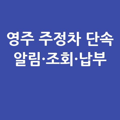 영주 주정차 단속 알림·조회·납부